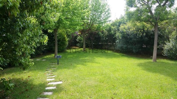 casa indipendente in affitto a Casamassima