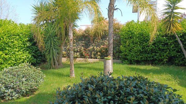 appartamento in affitto a Casamassima