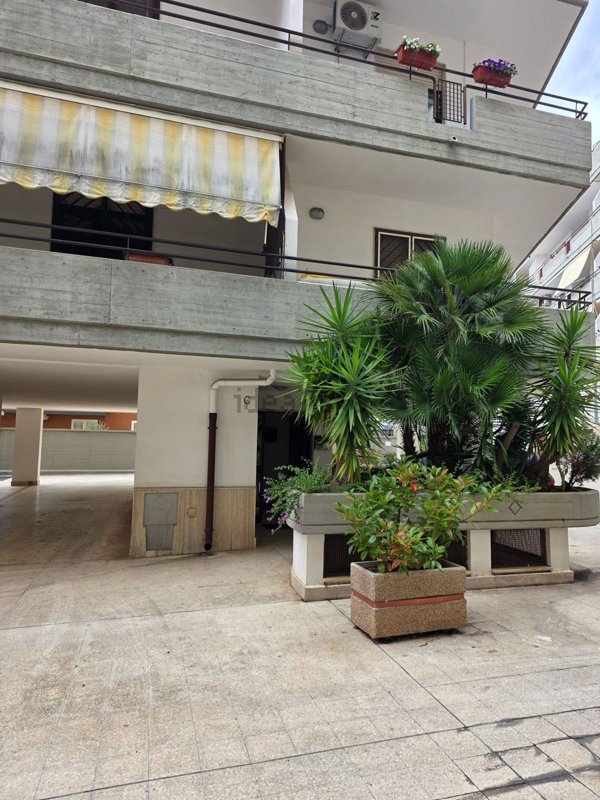 appartamento in affitto a Casamassima
