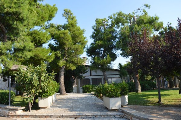 negozio in affitto a Castellana Grotte