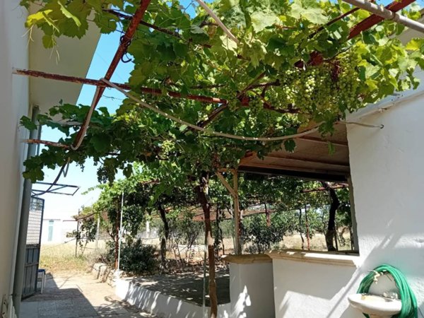 casa indipendente in affitto a Gioia del Colle