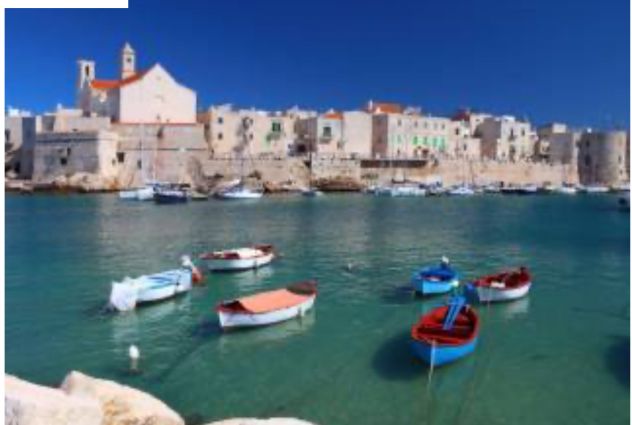 negozio in affitto a Giovinazzo