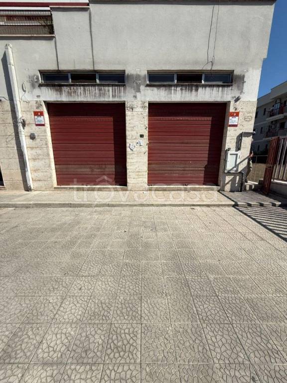 appartamento in affitto a Giovinazzo