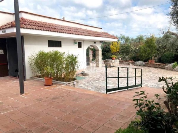 negozio in affitto a Giovinazzo