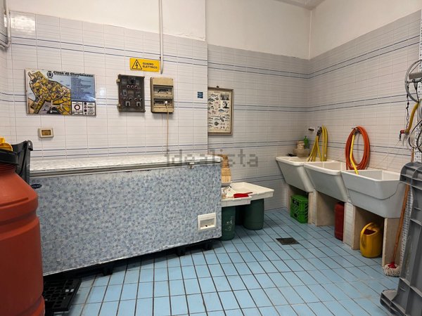 negozio in affitto a Giovinazzo