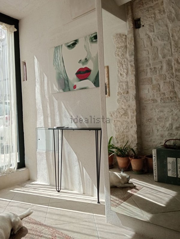 appartamento in affitto a Giovinazzo