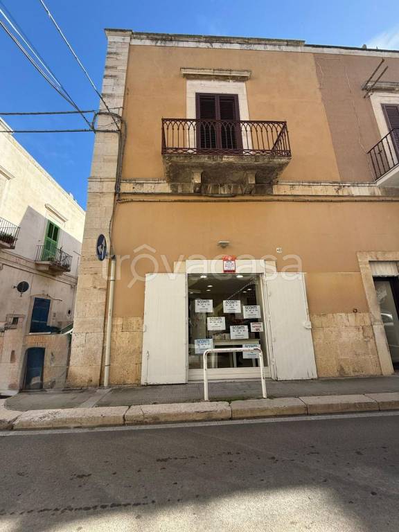 appartamento in affitto a Giovinazzo