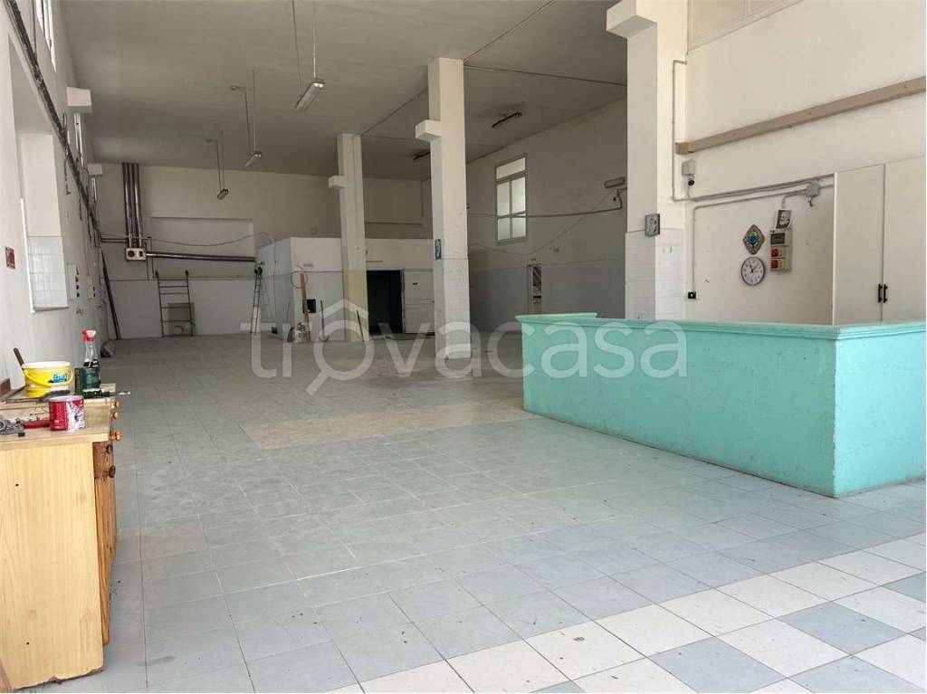 appartamento in affitto a Gravina in Puglia