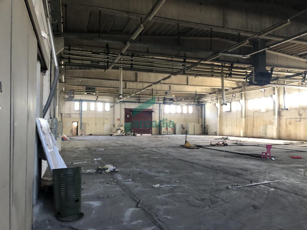 capannone in affitto a Modugno