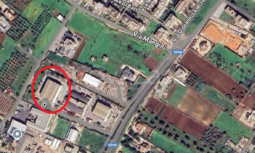 locale commerciale in affitto a Mola di Bari