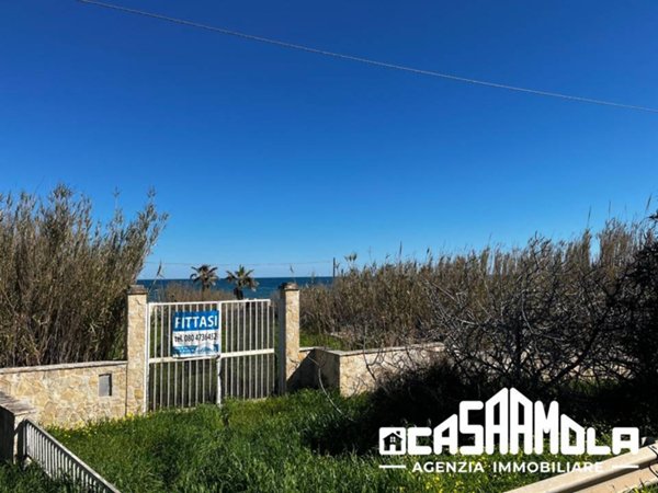 terreno agricolo in affitto a Mola di Bari in zona Cozze