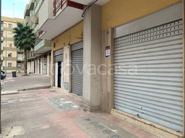 monolocale in affitto a Molfetta