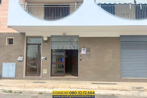 locale commerciale in affitto a Molfetta