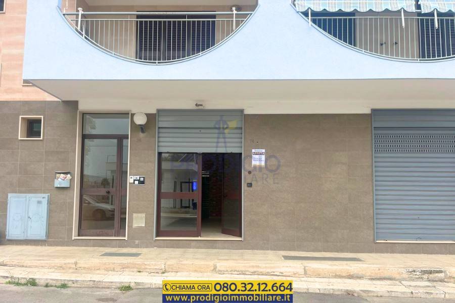 negozio in affitto a Molfetta