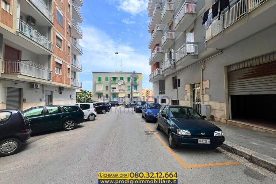 quadrivano in affitto a Molfetta