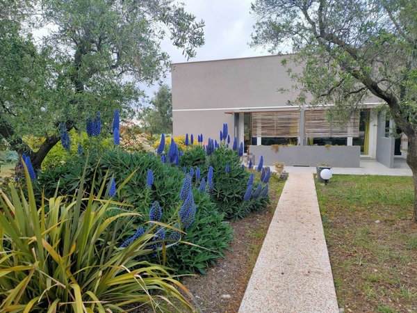 appartamento in affitto a Molfetta