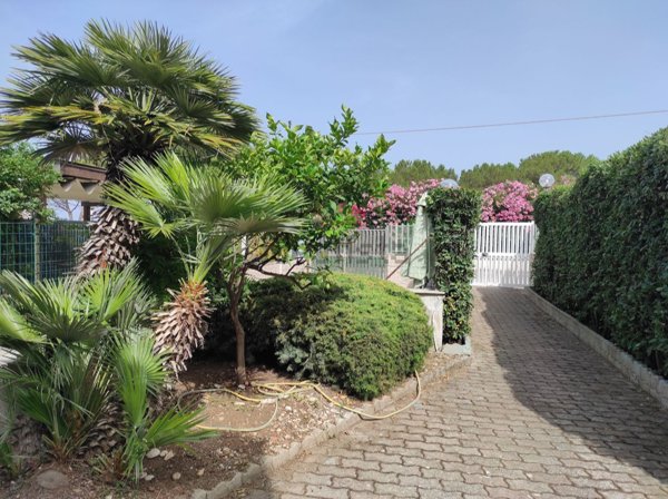 appartamento in affitto a Molfetta