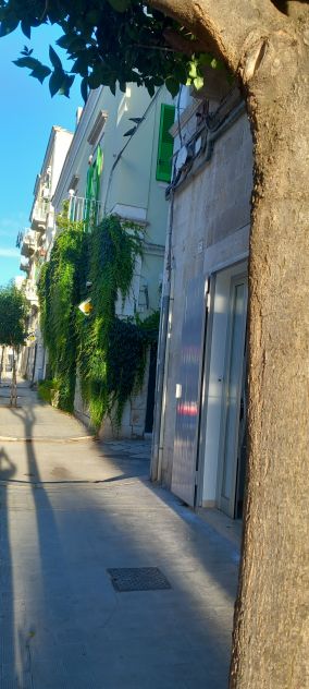 appartamento in affitto a Molfetta