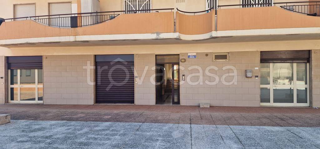 appartamento in affitto a Molfetta