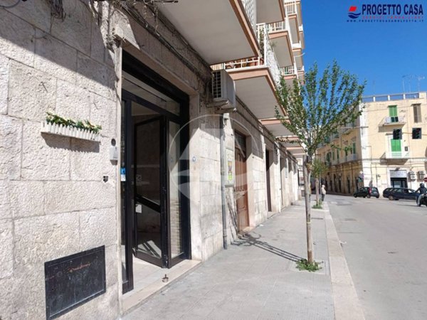appartamento in affitto a Molfetta