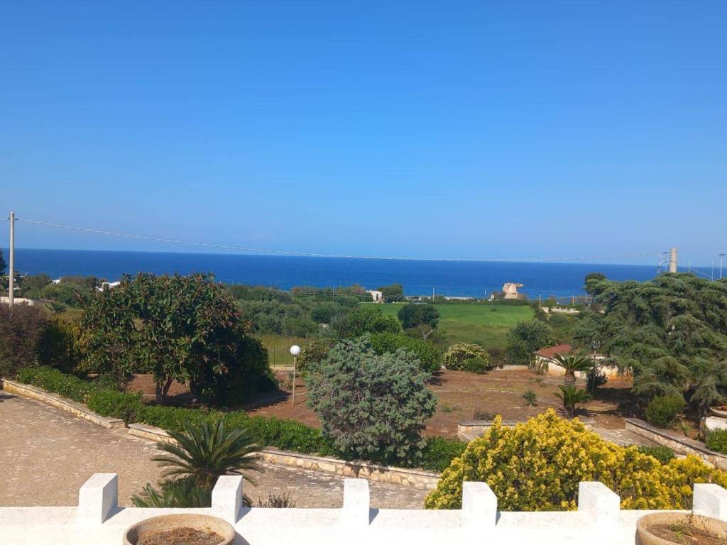 casa indipendente in affitto a Monopoli