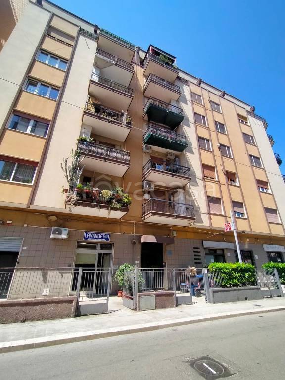 appartamento in affitto a Monopoli