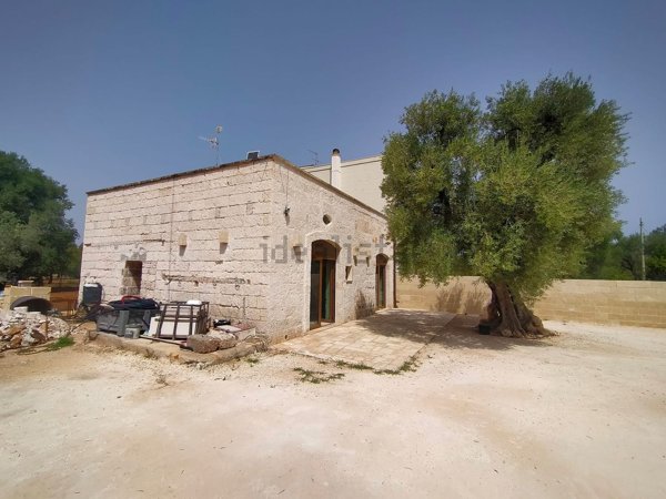 casa indipendente in affitto a Monopoli