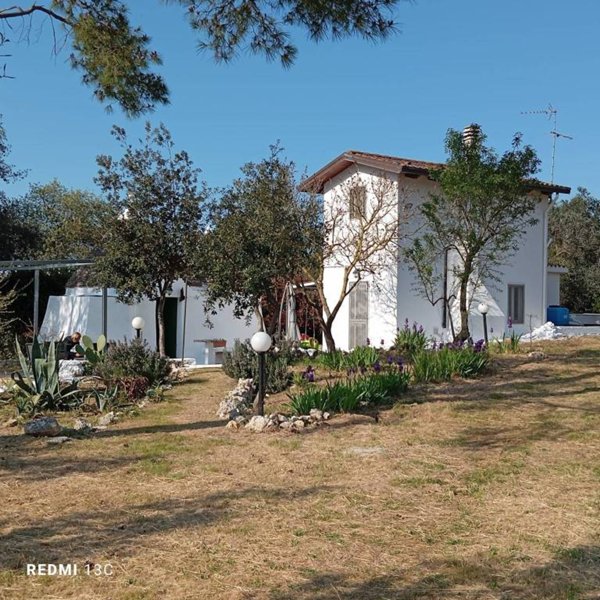 casa indipendente in affitto a Noci