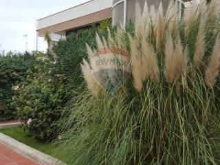 appartamento in affitto a Noicattaro in zona Parchitello