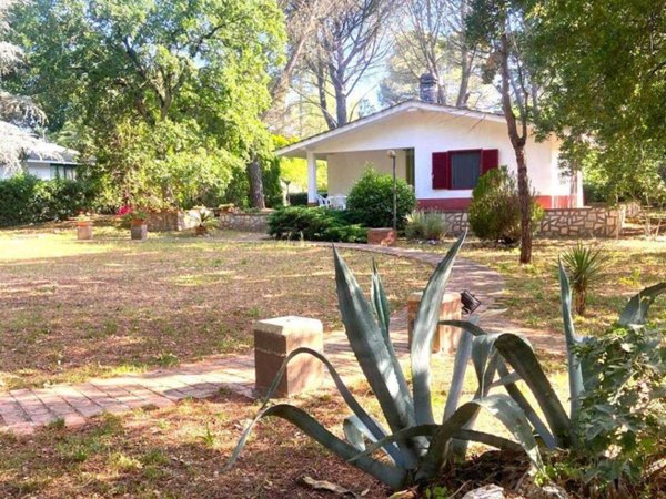 casa indipendente in affitto a Putignano