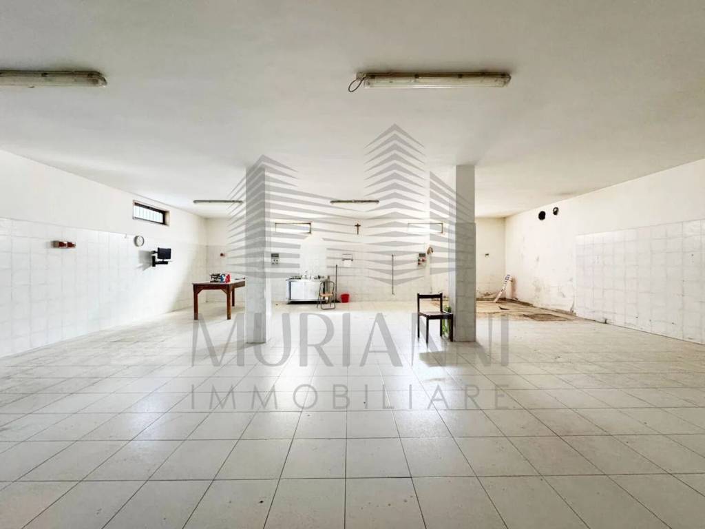 negozio in affitto a Sannicandro di Bari
