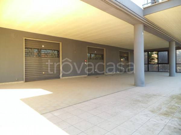 negozio in affitto a Santeramo in Colle