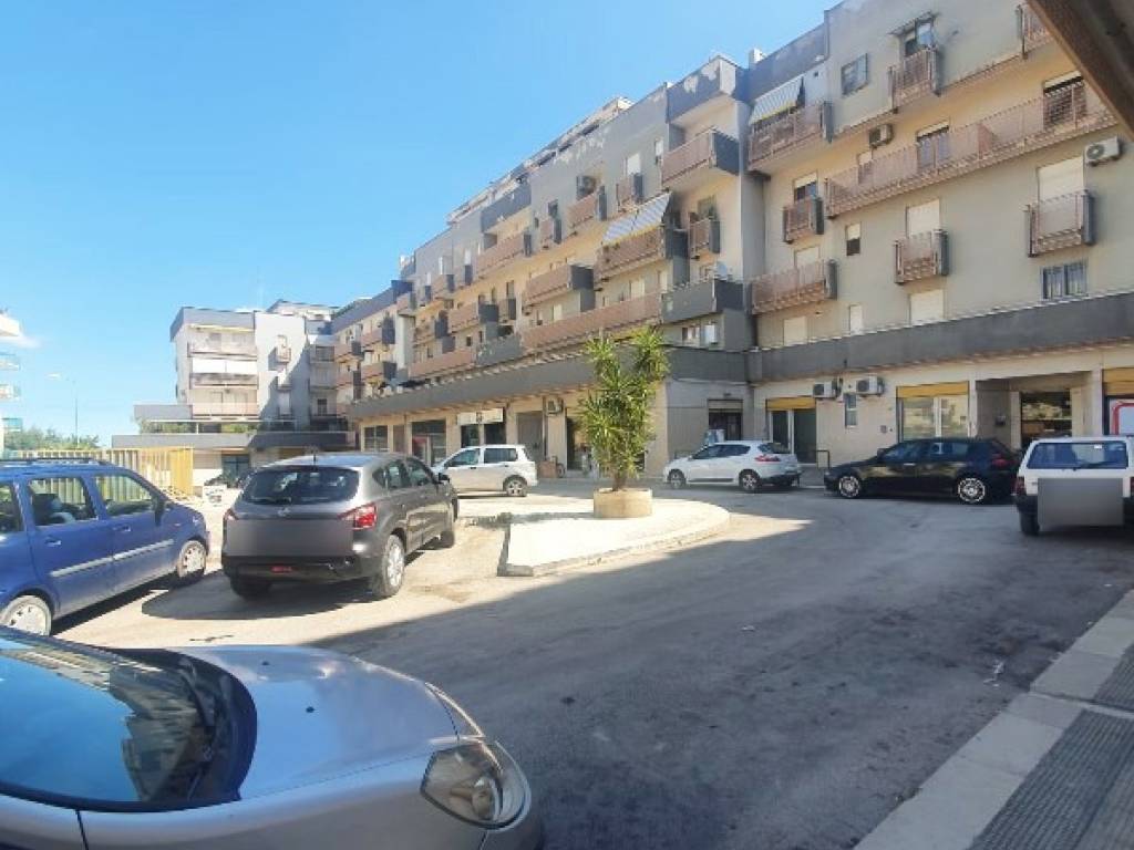 negozio in affitto a Terlizzi