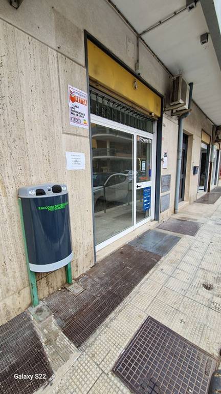 monolocale in affitto a Terlizzi