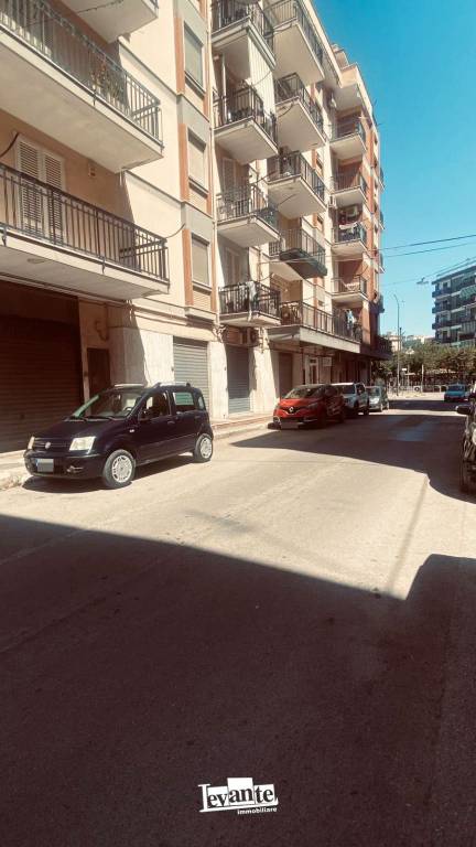 appartamento in affitto a Terlizzi