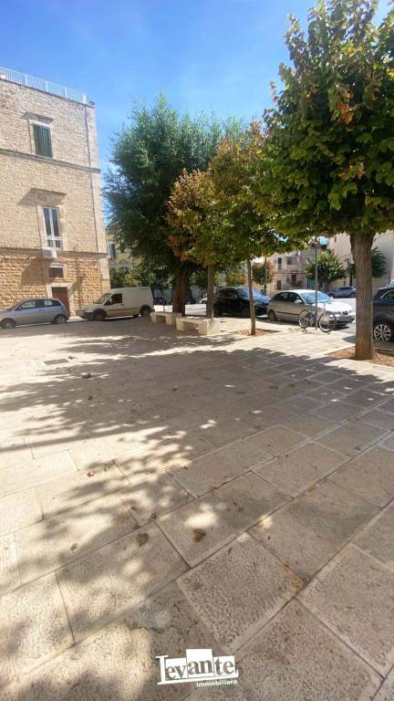 appartamento in affitto a Terlizzi