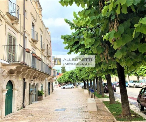 appartamento in affitto a Terlizzi