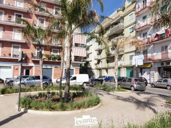 negozio in affitto a Terlizzi