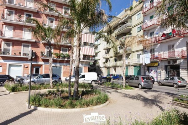 negozio in affitto a Terlizzi