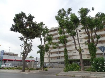 appartamento in affitto a Triggiano