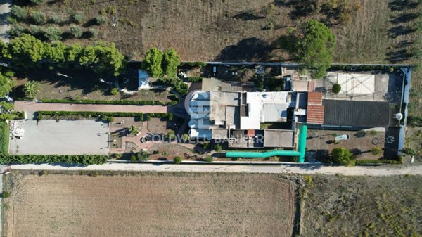 casa indipendente in affitto a Triggiano