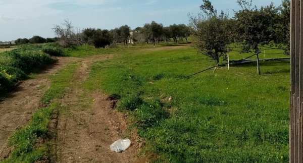 locale commerciale in affitto a Triggiano