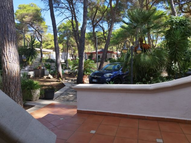 casa indipendente in affitto a Castellaneta