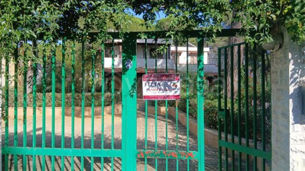 casa indipendente in affitto a Castellaneta