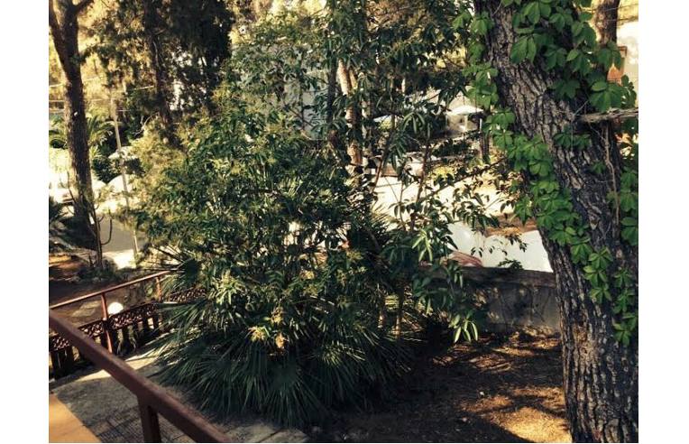 appartamento in affitto a Castellaneta