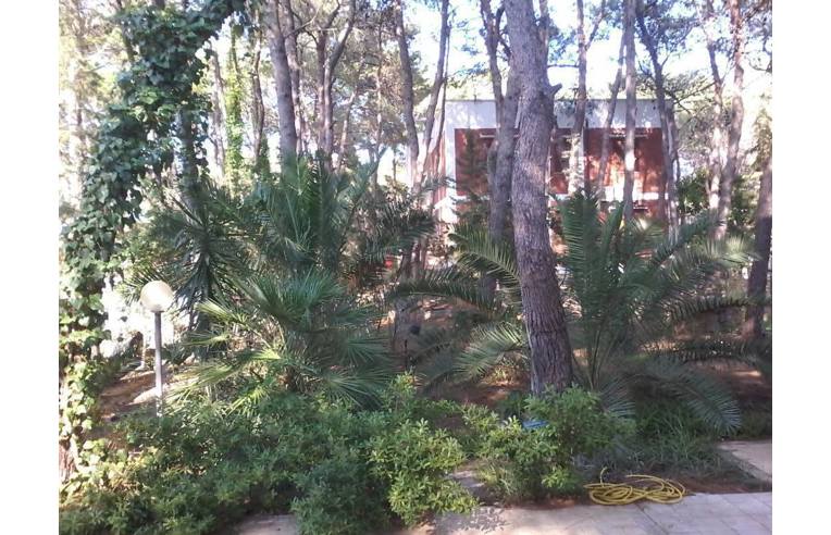 casa indipendente in affitto a Castellaneta