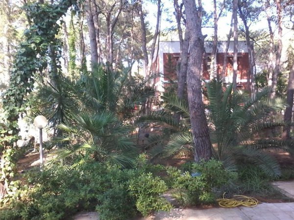 casa indipendente in affitto a Castellaneta