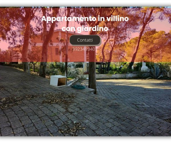 immagine annuncio 0 di 1