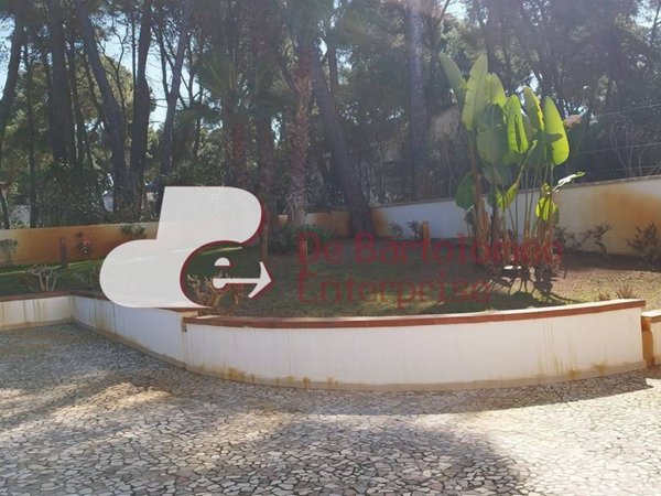 casa indipendente in affitto a Castellaneta