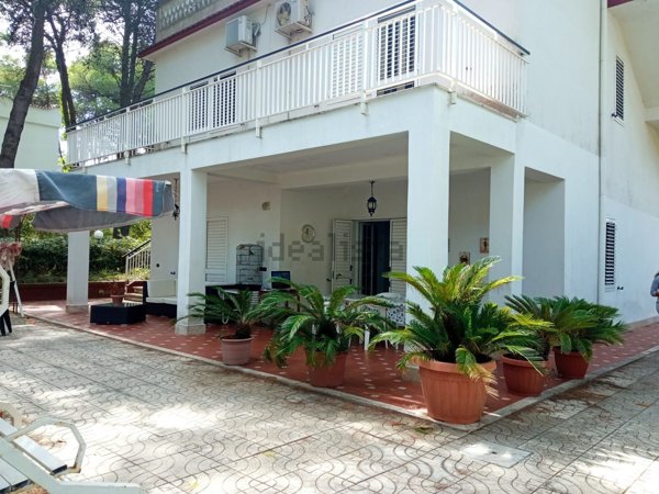 casa indipendente in affitto a Castellaneta